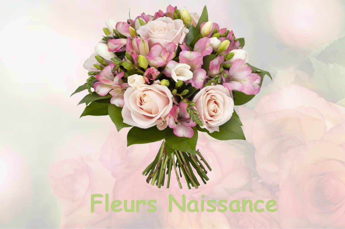 fleurs naissance LANSLEBOURG-MONT-CENIS