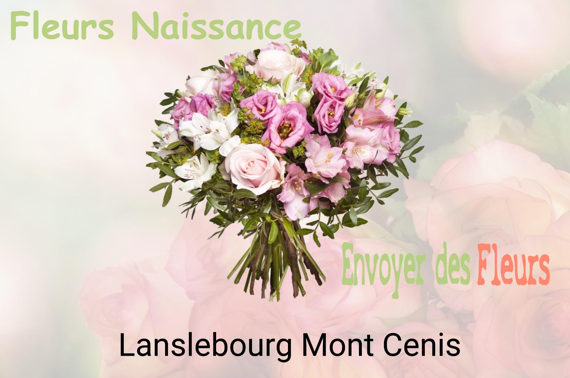 Bouquet de fleurs de naissance livré à Lanslebourg-Mont-Cenis